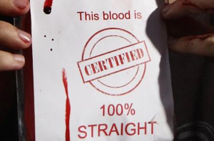 this blood is certified 100% straight